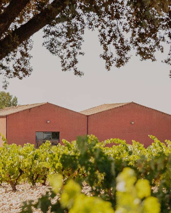 In the heart of Ribera del Duero since 1960