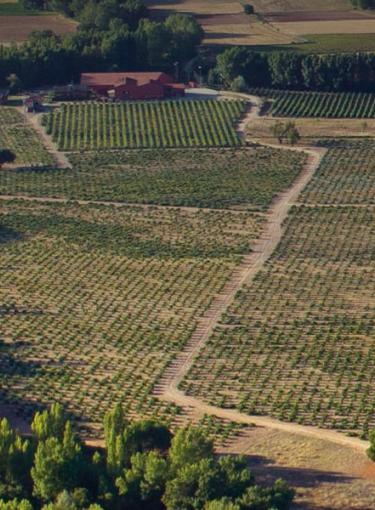 En la verdadera Ribera del Duero